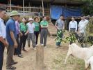 Đồng chí Nguyễn Nam Phương- Bí thư Đảng ủy xã Nghĩa Mai thăm các mô hình kinh tế, kiểm tra tiến độ xóa nhà tạm